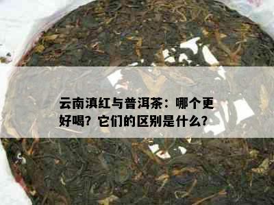 云南滇红与普洱茶：哪个更好喝？它们的区别是什么？