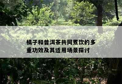 橘子和普洱茶共同煮饮的多重功效及其适用场景探讨