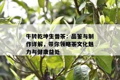 牛转乾坤生普茶：品鉴与制作详解，带你领略茶文化魅力与健康益处