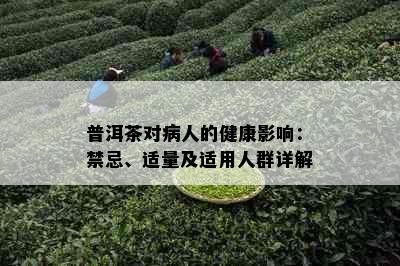 普洱茶对病人的健康影响：禁忌、适量及适用人群详解