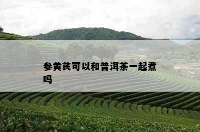 参黄芪可以和普洱茶一起煮吗