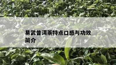 易武普洱茶特点口感与功效简介