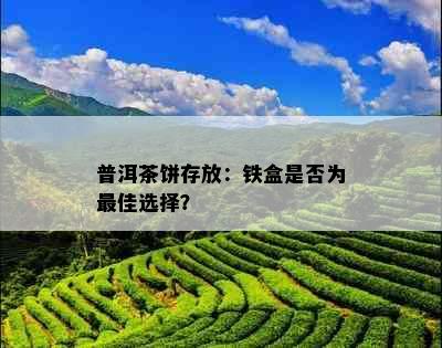 普洱茶饼存放：铁盒是否为更佳选择？