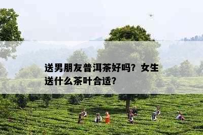 送男朋友普洱茶好吗？女生送什么茶叶合适？