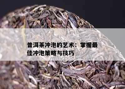 普洱茶冲泡的艺术：掌握更佳冲泡策略与技巧