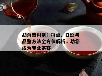 勐海普洱茶：特点、口感与品鉴方法全方位解析，助您成为专业茶客