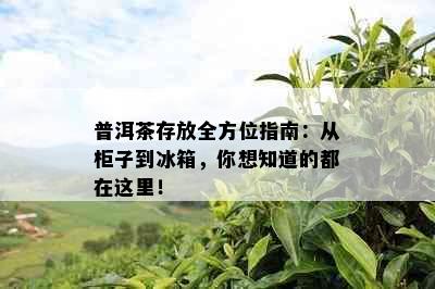 普洱茶存放全方位指南：从柜子到冰箱，你想知道的都在这里！