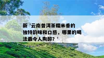 新 '云南普洱茶糯米香的独特韵味和口感，哪里的喝法最令人陶醉？'