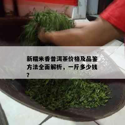 新糯米香普洱茶价格及品鉴方法全面解析，一斤多少钱？