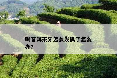 喝普洱茶牙怎么发黑了怎么办？