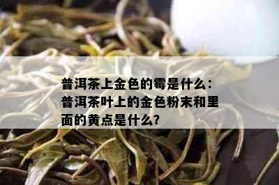 普洱茶上金色的霉是什么：普洱茶叶上的金色粉末和里面的黄点是什么？