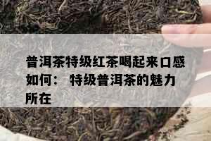 普洱茶特级红茶喝起来口感如何： 特级普洱茶的魅力所在