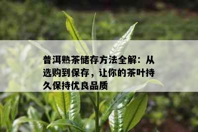 普洱熟茶储存方法全解：从选购到保存，让你的茶叶持久保持优良品质