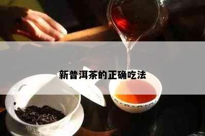 新普洱茶的正确吃法