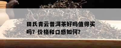 田氏青云普洱茶好吗值得买吗？价格和口感如何？