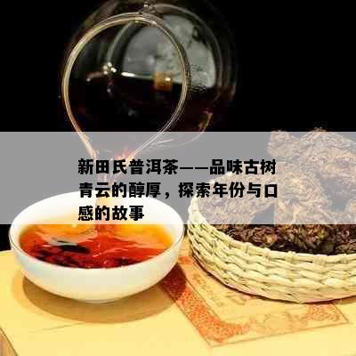 新田氏普洱茶——品味古树青云的醇厚，探索年份与口感的故事