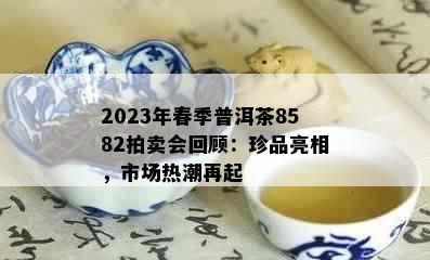 2023年春季普洱茶8582拍卖会回顾：珍品亮相，市场热潮再起