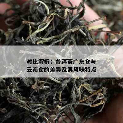 对比解析：普洱茶广东仓与云南仓的差异及其风味特点