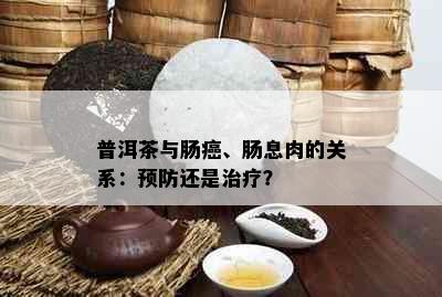 普洱茶与肠癌、肠息肉的关系：预防还是治疗？