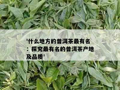 '什么地方的普洱茶最有名：探究最有名的普洱茶产地及品质'