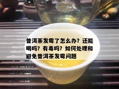 普洱茶发霉了怎么办？还能喝吗？有吗？如何处理和避免普洱茶发霉问题