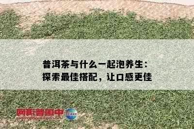 普洱茶与什么一起泡养生：探索更佳搭配，让口感更佳