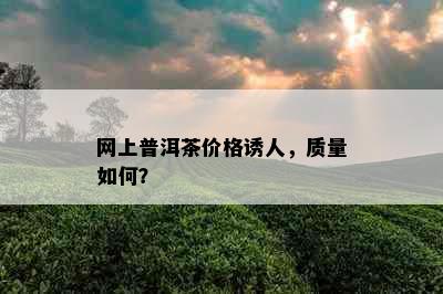 网上普洱茶价格诱人，质量如何？