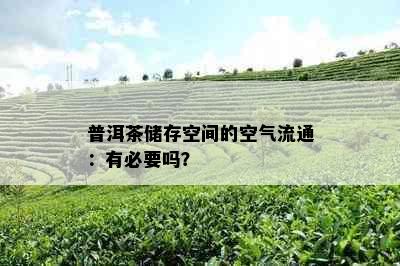 普洱茶储存空间的空气流通：有必要吗？