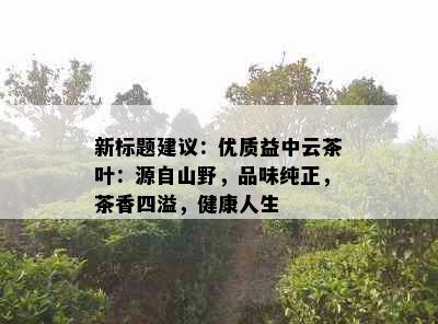 新标题建议：优质益中云茶叶：源自山野，品味纯正，茶香四溢，健康人生