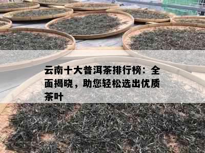 云南十大普洱茶排行榜：全面揭晓，助您轻松选出优质茶叶