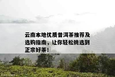 云南本地优质普洱茶推荐及选购指南，让你轻松挑选到正宗好茶！