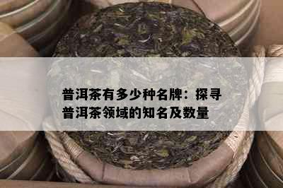 普洱茶有多少种名牌：探寻普洱茶领域的知名及数量