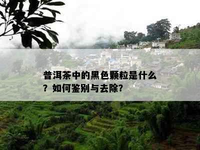 普洱茶中的黑色颗粒是什么？如何鉴别与去除？