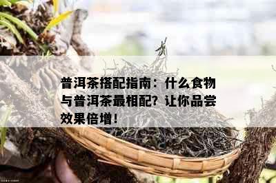 普洱茶搭配指南：什么食物与普洱茶最相配？让你品尝效果倍增！