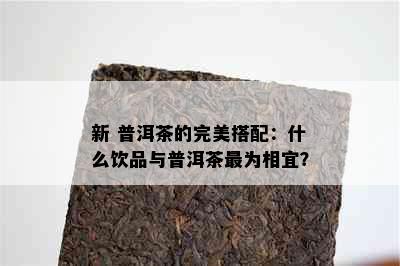 新 普洱茶的完美搭配：什么饮品与普洱茶最为相宜？