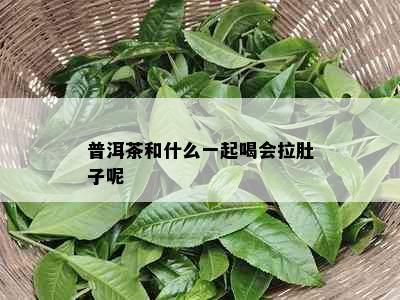 普洱茶和什么一起喝会拉肚子呢