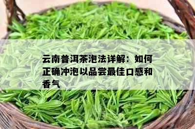 云南普洱茶泡法详解：如何正确冲泡以品尝更佳口感和香气