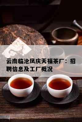 云南临沧凤庆天福茶厂：招聘信息及工厂概况