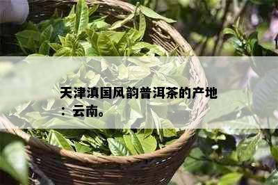 天津滇国风韵普洱茶的产地：云南。