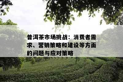 普洱茶市场挑战：消费者需求、营销策略和建设等方面的问题与应对策略