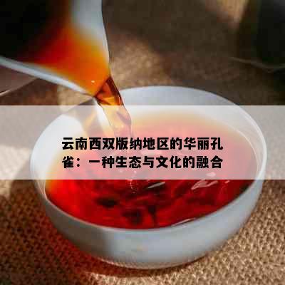 云南西双版纳地区的华丽孔雀：一种生态与文化的融合