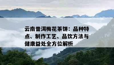 云南普洱梅花茶饼：品种特点、制作工艺、品饮方法与健康益处全方位解析