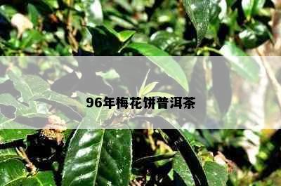 96年梅花饼普洱茶