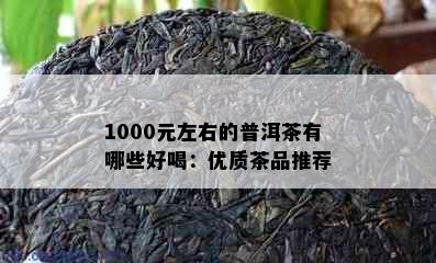 1000元左右的普洱茶有哪些好喝：优质茶品推荐