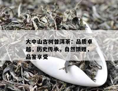 大中山古树普洱茶：品质卓越，历史传承，自然馈赠，品鉴享受