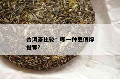 普洱茶比较：哪一种更值得推荐？