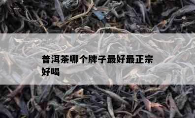 普洱茶哪个牌子更好最正宗好喝