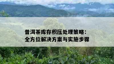 普洱茶库存积压处理策略：全方位解决方案与实施步骤