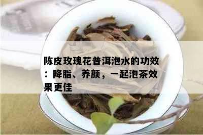 陈皮玫瑰花普洱泡水的功效：降脂、养颜，一起泡茶效果更佳