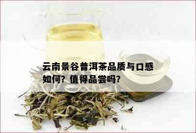 云南景谷普洱茶品质与口感如何？值得品尝吗？